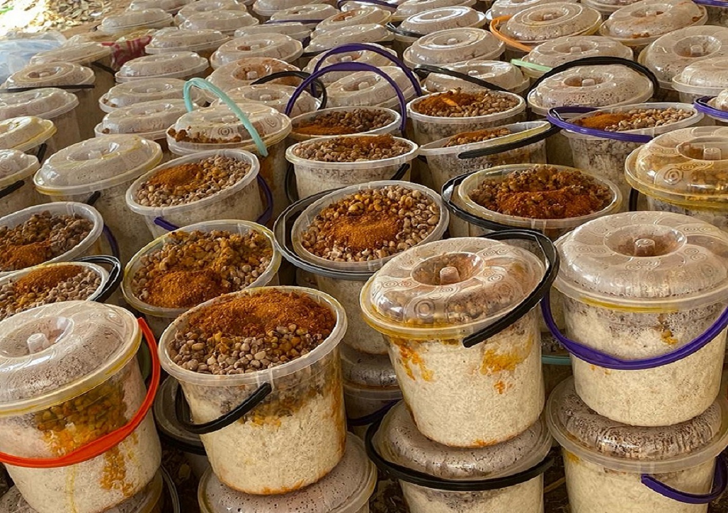 Iftar Feeding During Ramadan 2025